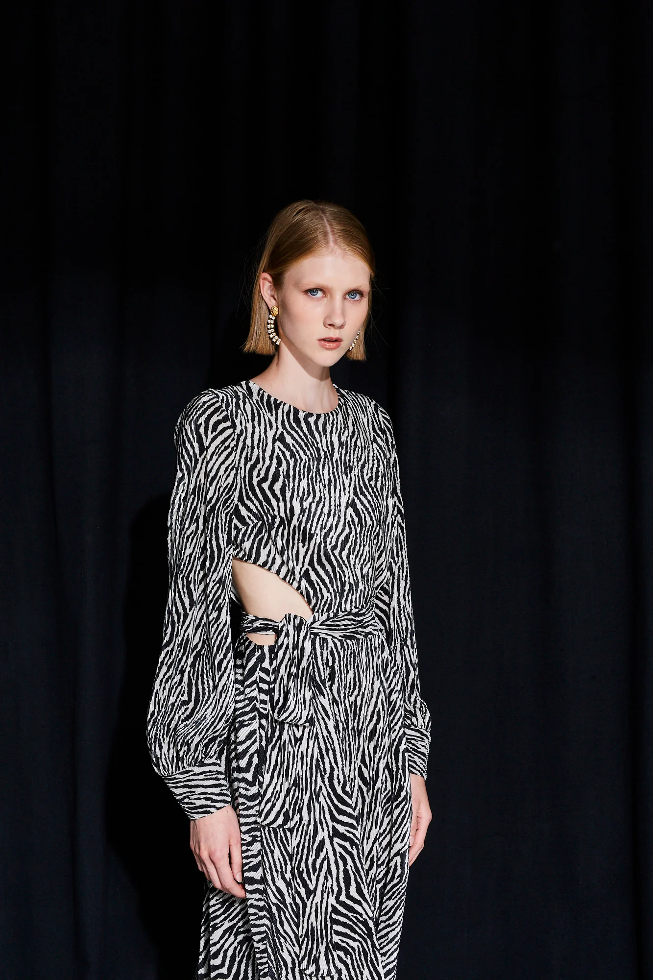 Kirsten zebra pleated dress - Image 5